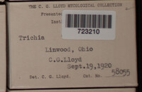 Image Associated With the Occurence